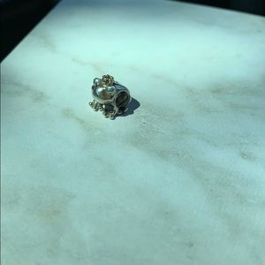 Prince frog Pandora charm